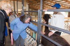 Pat Hernandez & Betty Brees meeting alpaca