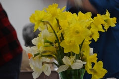 Daffodil Centerpiece