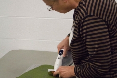 Sondra Schmittgens